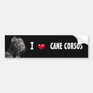 Adesivo Para Carro Eu amo o autocolante no vidro traseiro de Corsos