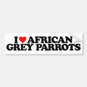 ADESIVO PARA CARRO EU AMO PAPAGAIOS DO CINZA AFRICANO