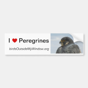 Adesivo Para Carro Eu amo peregrinos Pittsburgh