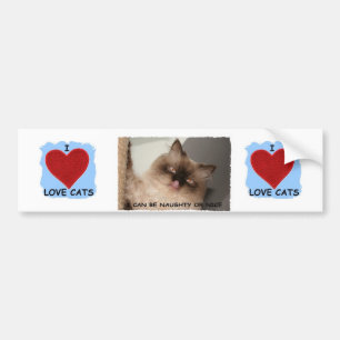 ADESIVO PARA CARRO EU AMO REALMENTE GATOS