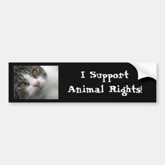 Adesivo Para Carro Eu apoio direitos dos animais Bumpersticker