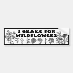 Adesivo Para Carro Eu Braço Para Flores Selvagens