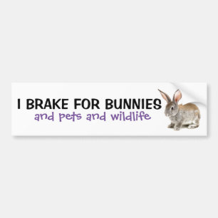 Adesivo Para Carro Eu Braço Para Um Bloco De Bumper.