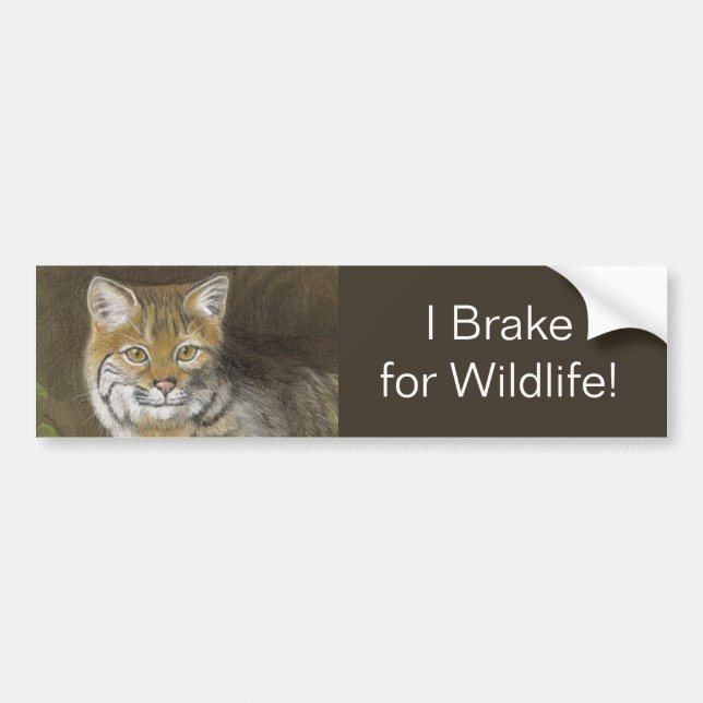 Adesivo Para Carro Eu bravo por Wildlife Bobcat (Frente)