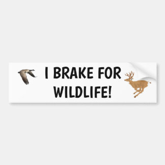 Adesivo Para Carro Eu brinco para a Wildlife Bumper Sticker