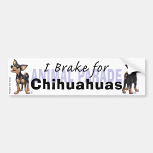 Adesivo Para Carro Eu brinco para Chihuahuas