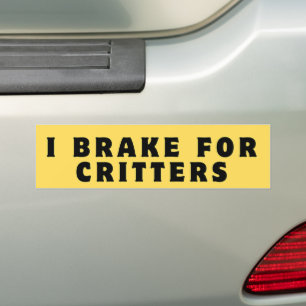 Adesivo Para Carro Eu brinco para os critérios, Bumper Sticker, Engra