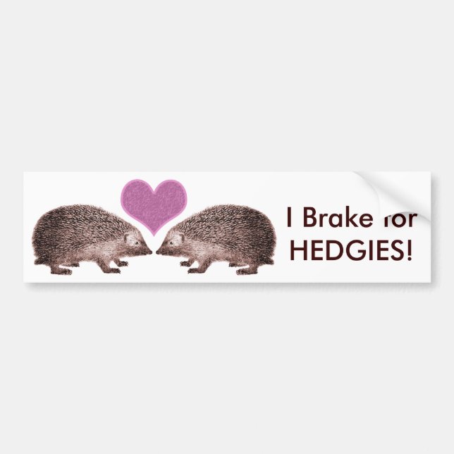 Adesivo Para Carro Eu brinco por HEDGIES! Salvar Hedgehogs Bumperstic (Frente)