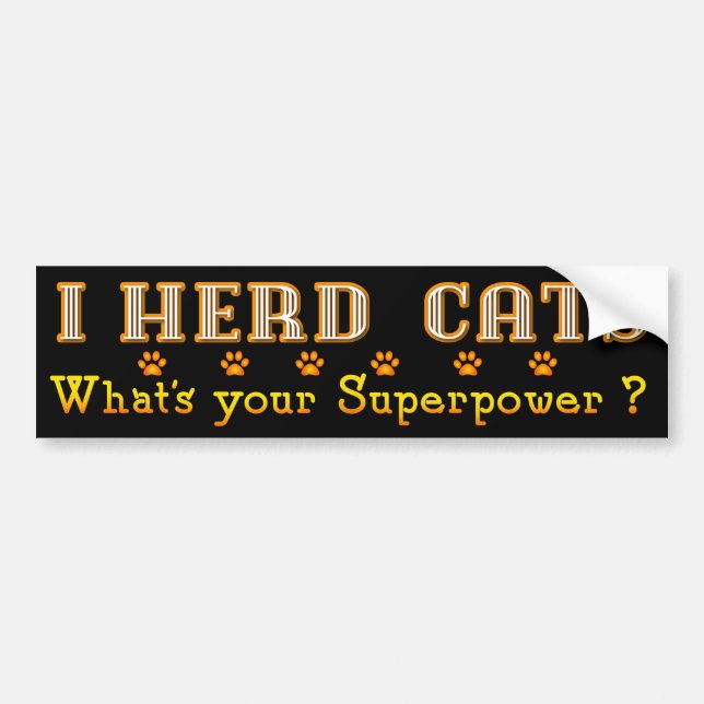 Adesivo Para Carro Eu Coloquei Gatos De Bumper (Frente)