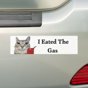Adesivo Para Carro Eu Comi O Gás   Picante de gato engraçado