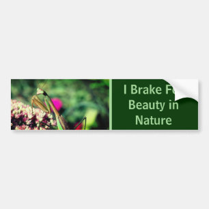 Adesivo Para Carro Eu Freio Para a Beleza Louva-a-Deus Natureza