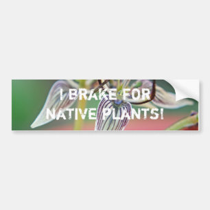 Adesivo Para Carro Eu freio para plantas nativas.