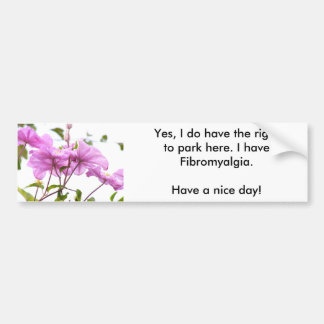 Adesivo Para Carro EU POSSO estacionar aqui o autocolante no vidro