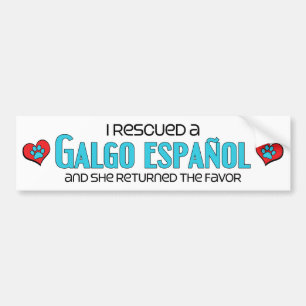 Adesivo Para Carro Eu salvei um Galgo Español (o cão fêmea)