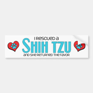 Adesivo Para Carro Eu salvei um Shih Tzu (o cão fêmea)