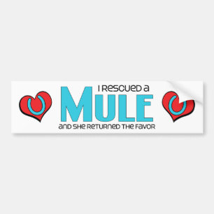 Adesivo Para Carro Eu salvei uma mula (a mula fêmea)