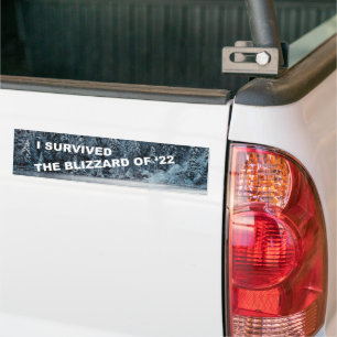 Adesivo Para Carro Eu Sobrevivi À Blizzard De 2022