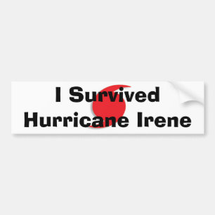 Adesivo Para Carro Eu sobrevivi ao bumpersticker de Irene