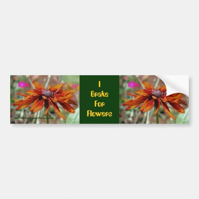 Adesivo Para Carro Eu Travão Para Flores Daisy Bumper Sticker (Frente)