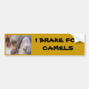 ADESIVO PARA CARRO EU TRAVO PARA CAMELOS
