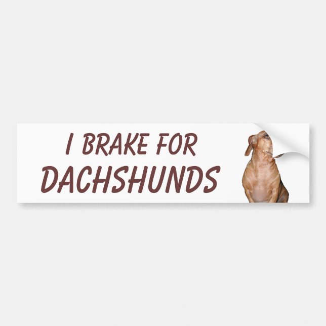 ADESIVO PARA CARRO EU TRAVO PARA DACHSHUNDS (Frente)