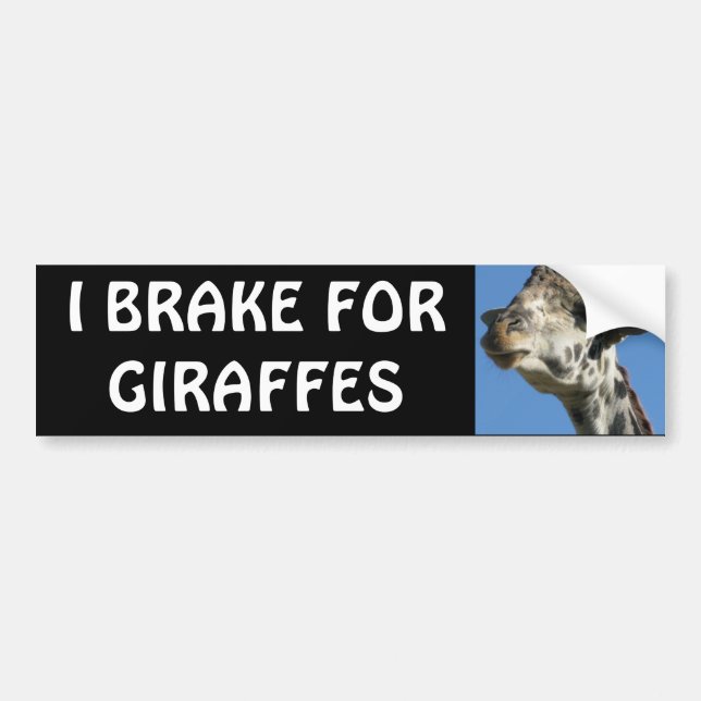 ADESIVO PARA CARRO EU TRAVO PARA GIRAFAS (Frente)