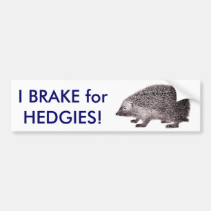 Adesivo Para Carro Eu travo para HEDGIES! Salvar ouriços