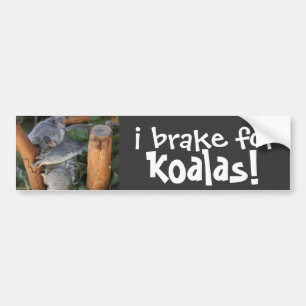 Adesivo Para Carro eu travo para KOALAS! autocolante no vidro
