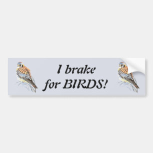 Adesivo Para Carro Eu travo para pássaros - aguarela do Kestrel de