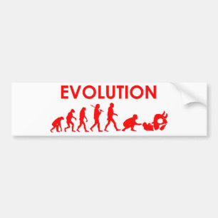 Adesivo Para Carro Evolução de Jiu Jitsu