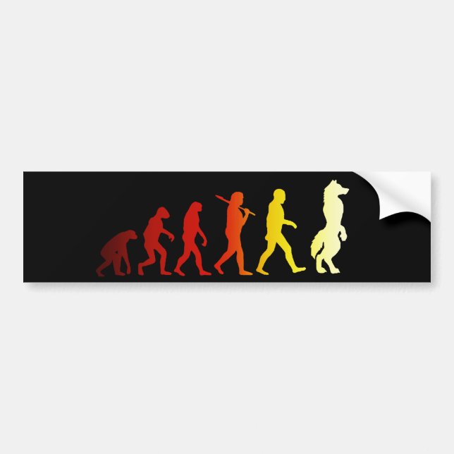 Adesivo Para Carro Evolução peludo (Frente)