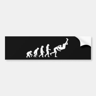 Adesivo Para Carro Evolução RKO