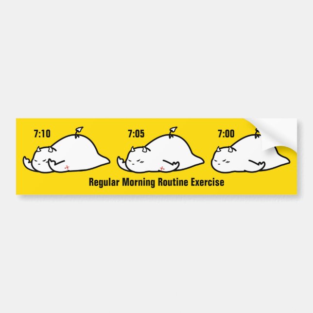 Adesivo Para Carro Exercício De Rotina De Manhã Regular (Frente)