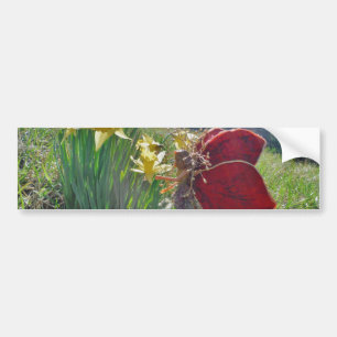Adesivo Para Carro fadas de asa vermelha e narcisos