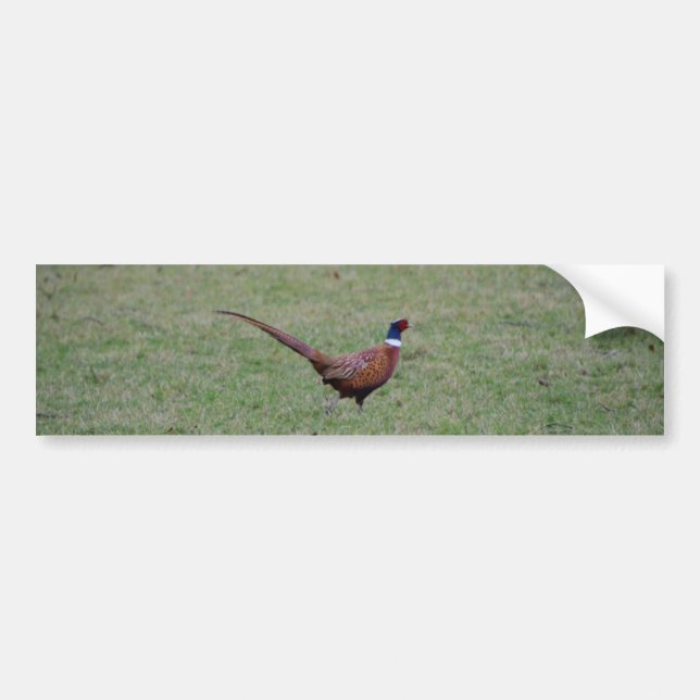 Adesivo Para Carro Faisão (Frente)
