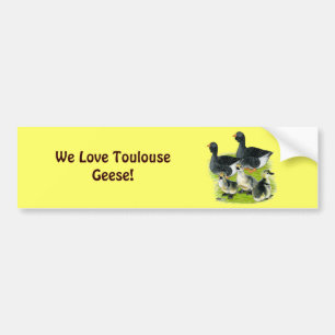 Adesivo Para Carro Família Toulouse Goose