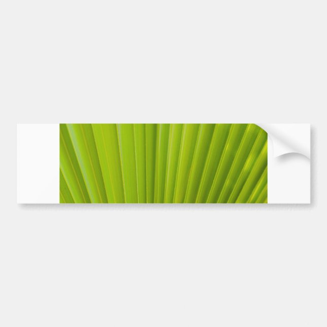 Adesivo Para Carro fanfarrão verde (Frente)