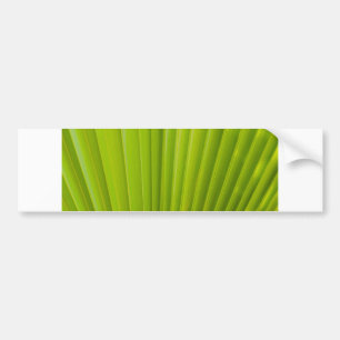 Adesivo Para Carro fanfarrão verde