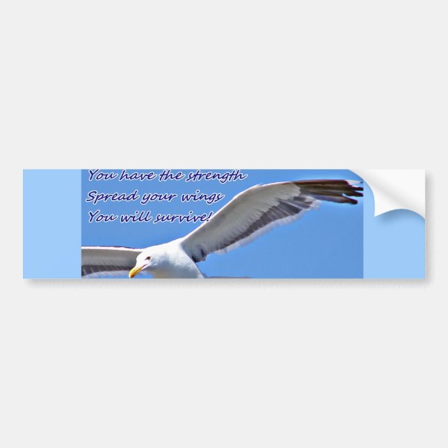 Adesivo Para Carro Fé & Força (Frente)