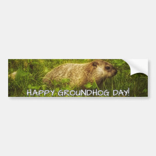 Adesivo Para Carro Feliz Dia da Marmota!