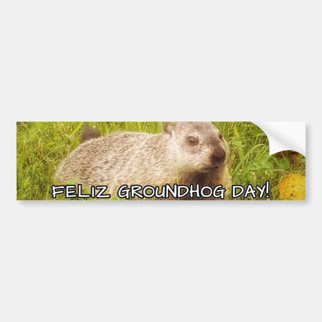 Adesivo Para Carro Feliz Groundhog Day! (Frente)