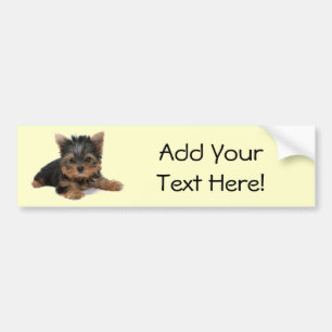 Adesivo Para Carro Filhote de cachorro de Yorkie