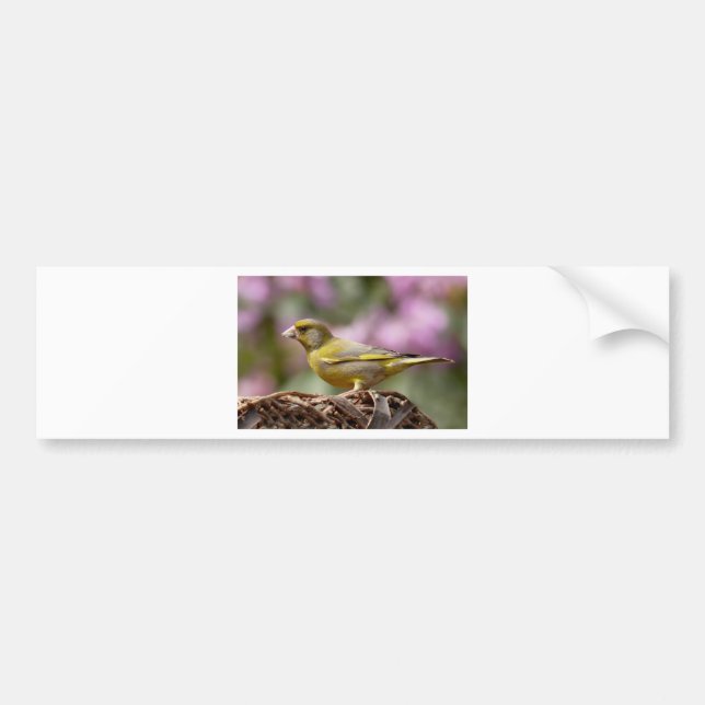 Adesivo Para Carro Finch Verde (Frente)