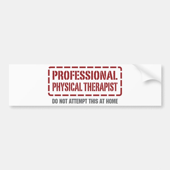 Adesivo Para Carro Fisioterapeuta profissional (Frente)