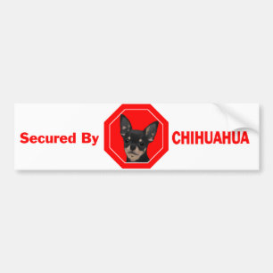 Adesivo Para Carro Fixado pela chihuahua