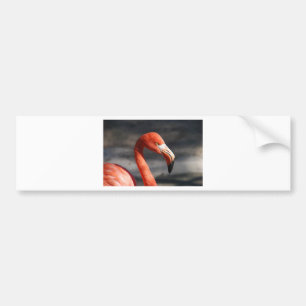 Adesivo Para Carro Flamingo