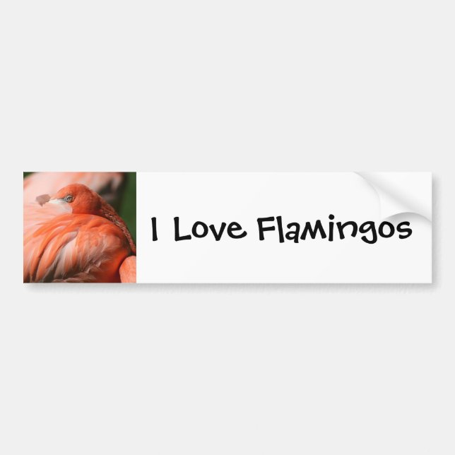 Adesivo Para Carro Flamingo Bumper Sticker (Frente)