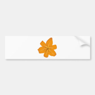 Adesivo Para Carro Flor alaranjada bonito