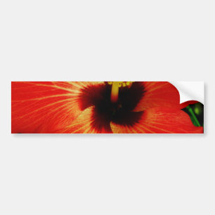 Adesivo Para Carro Flor alaranjada vermelha brilhante do hibiscus