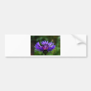 Adesivo Para Carro Flor de Centaurea Azul Florescem Paz Amor Destino